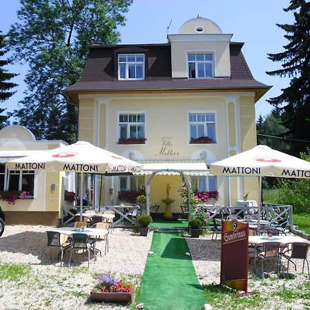 Villa Meteor Mariánské Lázně Kültér fotó
